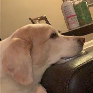 Meet your Posher, Nicolai